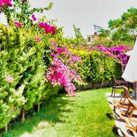 Ebru Villa *